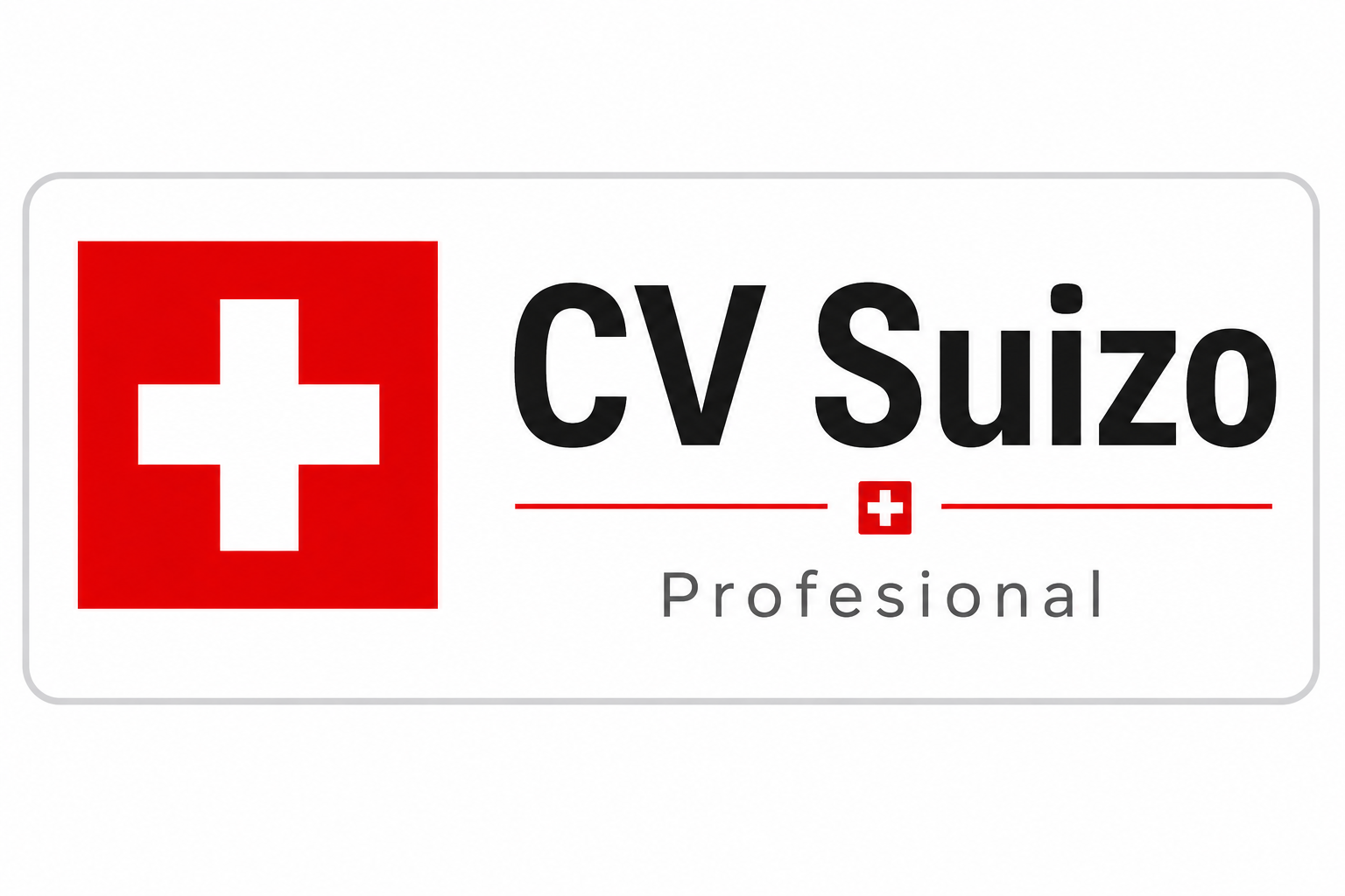Vista previa del CV Profesional